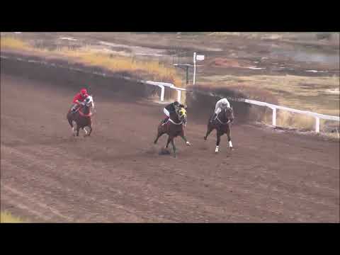 5º Quinta Carrera Domingo 09 de Julio 2023