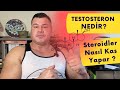 Testosteron Hakkında Bilmeniz Gereken Herşey