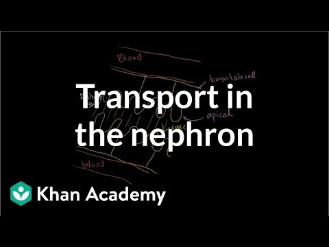 Ap Transport C Book