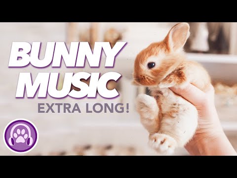 EXTRA LONG Relaxing Music for Rabbits - Tried and Tested by 5 Million Bunnies WORLDWIDE
