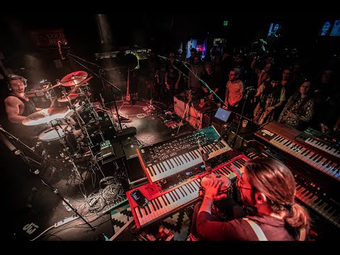 Dogs In A Pile - Dogs Play Dead (Full Set) - 4/5/23