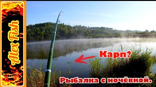 Рыбалка на карпа в ульяновской области