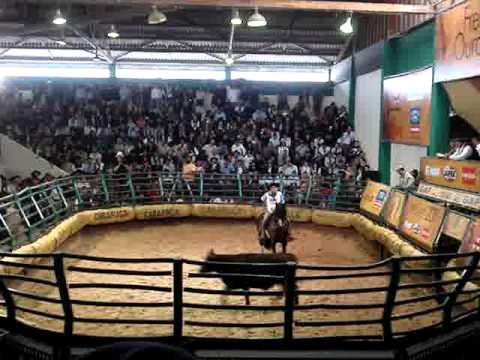 Esteio Ago 2011 VIRAGRO RIO TINTO en la mangueira.mpg