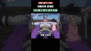 처음으로 공개된 니드호그 로키 과거 #원피스 #shorts