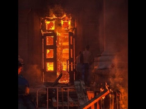 ОДЕССА — ящер бьется в судорогах