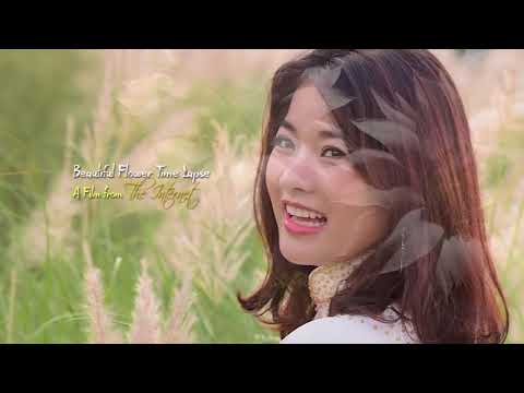 Tình khúc mùa hạ - Khải Ca