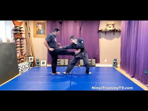 Ketoh (Knocking Down a Gate), Gyokko Ryu Koshijutsu