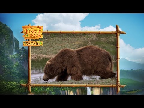 The Jungle Book Safari - Episode 10 - Thirst