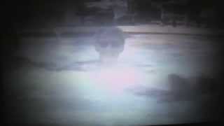 Long December Rain - Life Death And The Search Official Video