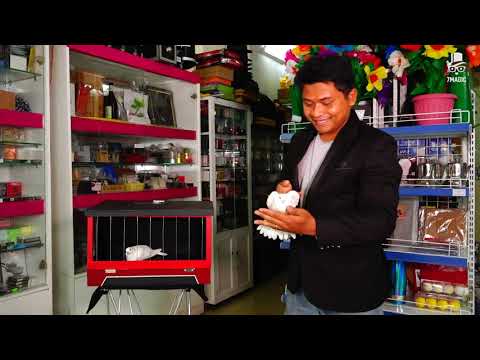 Dove cage transfor  - 7 Magic