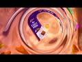 Oreo Cadbury Dairy Milk Merged In Creative Effects 3