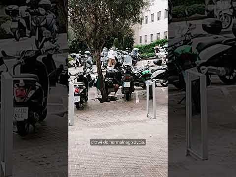 Obrazek poglądowy filmu YouTube