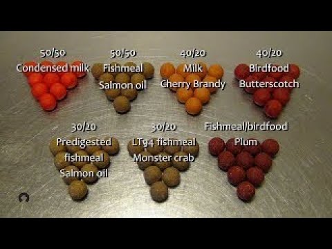 8 Carp bait recipes - Homemade carp bait - How to catch carp