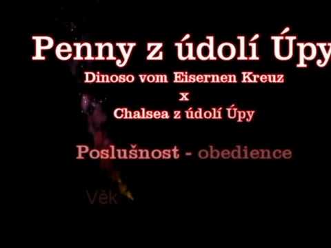 Penny z údolí Úpy - poslušnost 1 rok - (Dinoso vom Eisernen Kreuz x Chalsea z údolí Úpy)