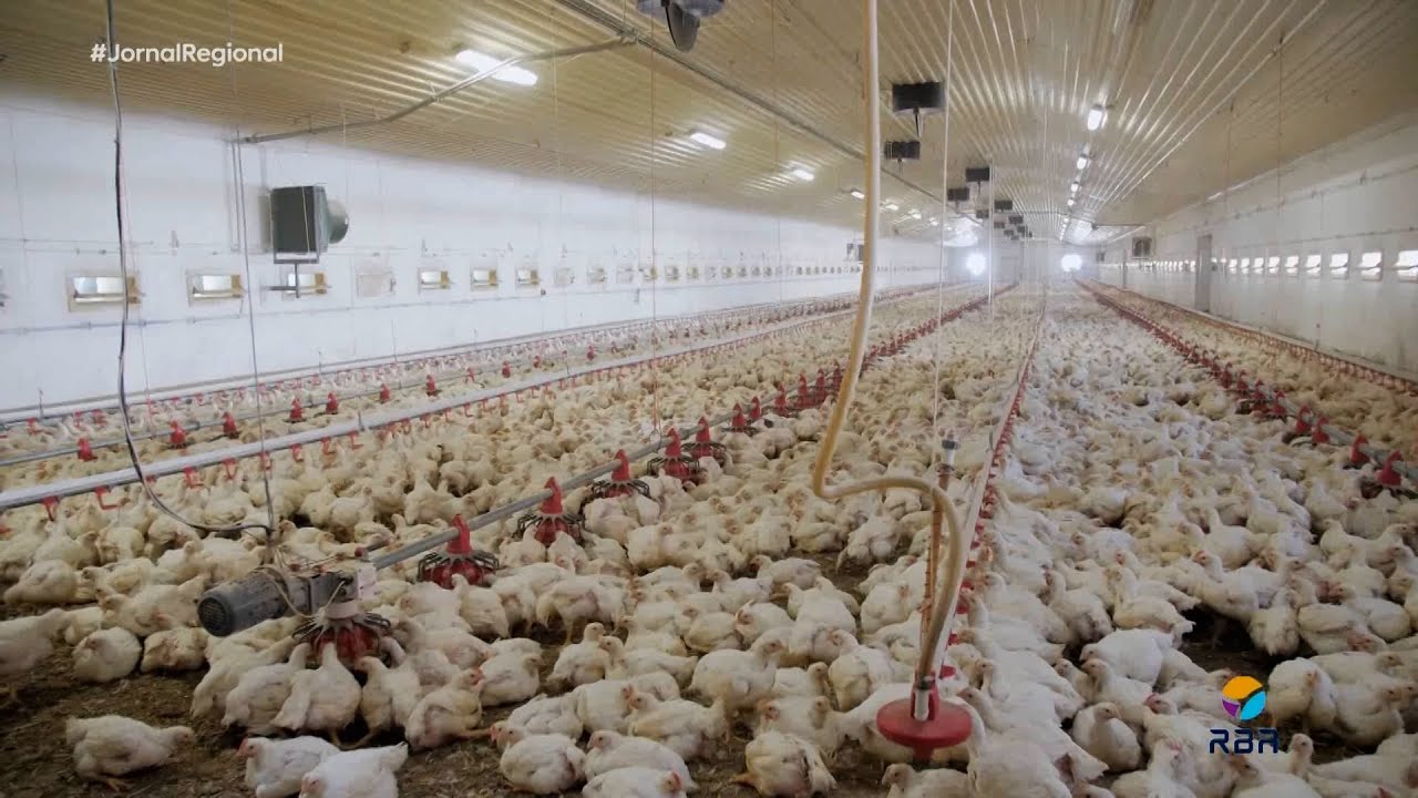 Miniatura do YouTube