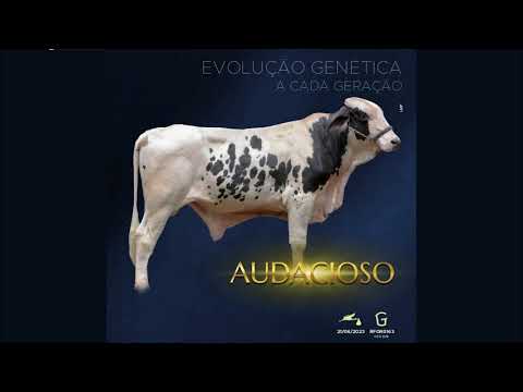 Produto sem imagem