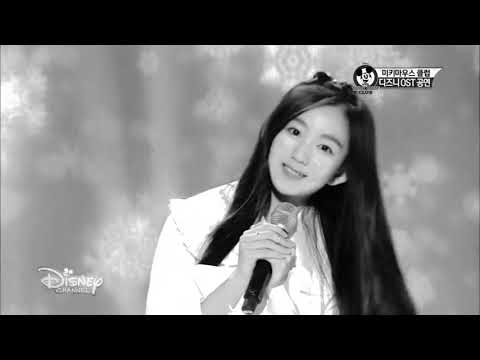 Nct and Former Sm rookies girls.