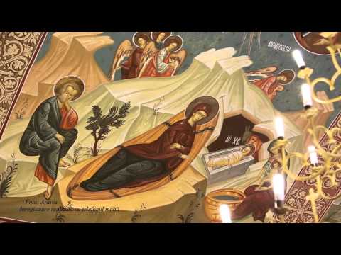 Predici crestine - Pr. Nicu Pavel -  Convertirea lui Zaheu - 2016