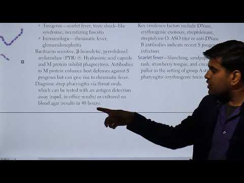 Streptococcus pyogenes and Streptococcus agalactiae USMLE Step 1 2021 Microbiology 13b page 136-137