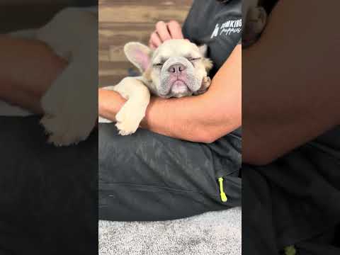 Video 5
