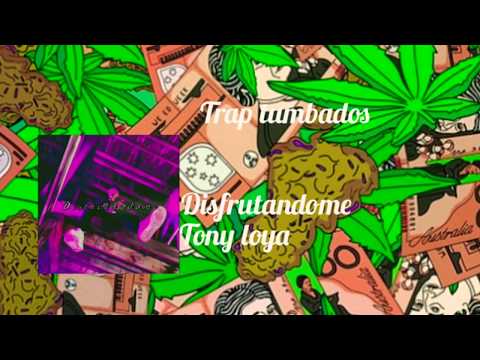 Disfrutandome, ❌ Tony loya (exclusive)