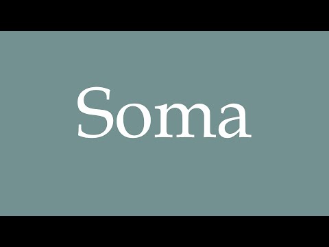 How to Pronounce ''Soma'' Correctly in French