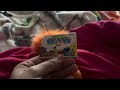 My Zoe Tyco Bean From Sesame Street Has Arrived At Aug 25 2025