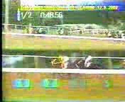 Clasico del Caribe (2003)