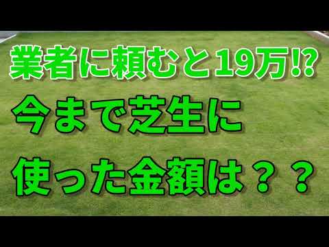 芝生の値段はいくらですか?この価格が期待できます トピックス