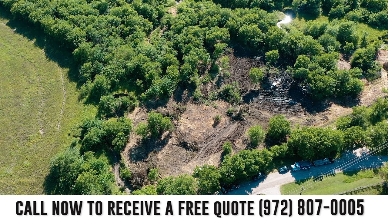 Tree Removal Services (365 Land Development)