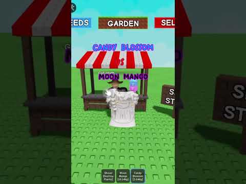 Candy blossom vs Moon Mango #growagarden