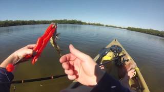 preview picture of video 'Fort De Soto Kayak Fishing'