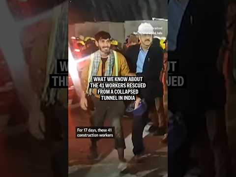 What we know about the 41 workers rescued from a collapsed tunnel in India