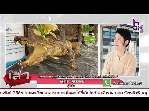 คลิกเพื่อดูคลิปวิดีโอ