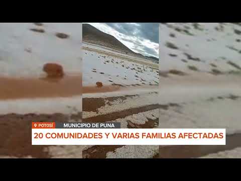 POTOSÍ: GRANIZADA AFECTA CULTIVOS EN EL MUNICIPIO DE PUNA