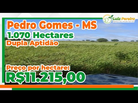 Excelente oportunidade em Pedro Gomes-MS 1.070 Hectares preço de ocasião para região