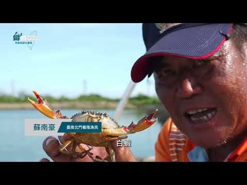 EP2｜回到魚塭：國產青蟹養殖發展