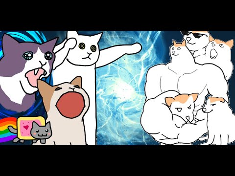 Popcat vs Shibe doge Video
