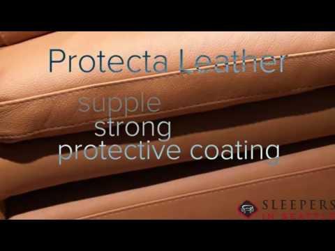 Natuzzi Editions Leather Sleeper Sofas at Sleepers In Seattle