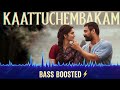 Kattuchembakam Pallichattambi Bass Boosted