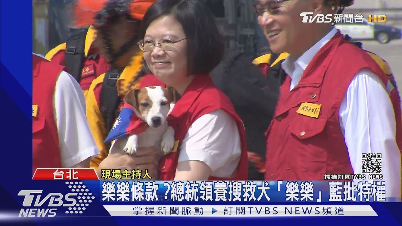 「樂樂」條款?總統領養搜救犬 遭國民黨質疑有特權