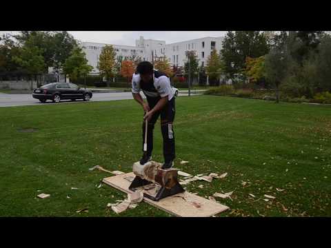 Deutsche Meisterschaft im Sportholzfällen kommt nach Deggendorf | unserRadio