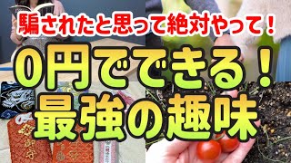【節約を全力で楽しむ！】お金をかけずに人生が豊かになる最強の趣味の趣味7選｜真似すれば絶対貯まる節約術｜コスパ最強【一人暮らしの節約生活】