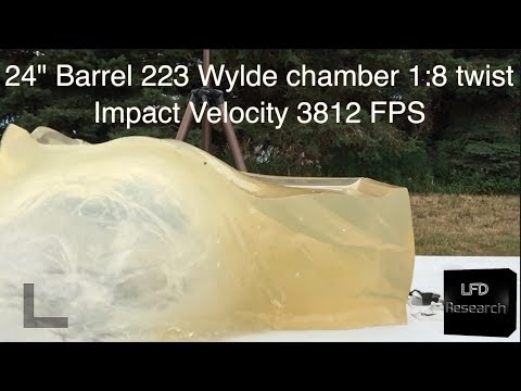 223 40gr V-Max Ballistics Gel 4K