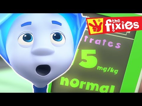 The Fixies ★ The Milk SONG + More Full Episodes ★ Cartoon For Kids | Fixies Special - Kingdom Kids Zone, Little Learners - The Fixies