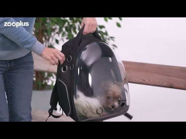 Vídeo relacionado con Nidddiv Mochilas Classic, mochila transparente resistente con bolsillo transparente para libros con opciones de color para estadios deportivos escolares y así sucesivamente. Mochilas para perros
