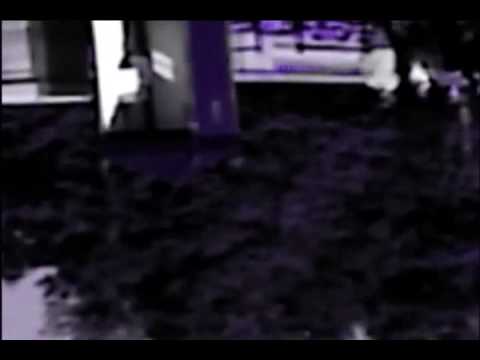 Marigold (Dirty Funker Reel Slinky Mofo Party Plan Remix)