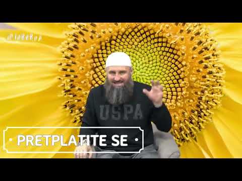 Post bez namaza - Elvedin Pezić