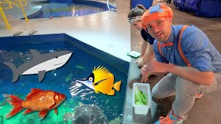 Download lagu Blippi Visits an Aquarium (Ody Aquarium) - Blippi | Educational Videos for Kids mp3