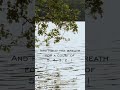 1 Min Relaxing Sigh Meditation Johndavisi Calm Relaxing